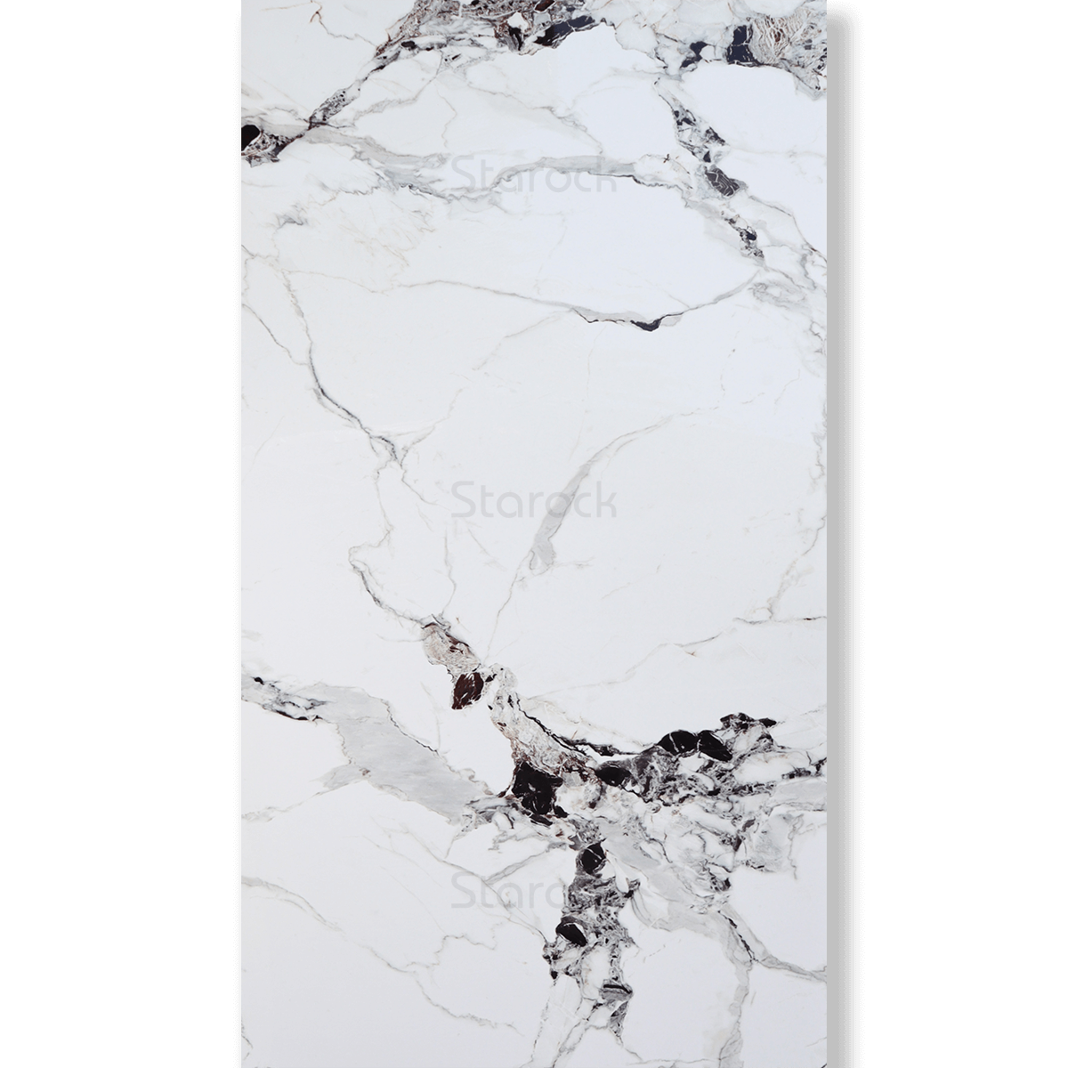 XXL Marble Panels-Calacatta Altissimo