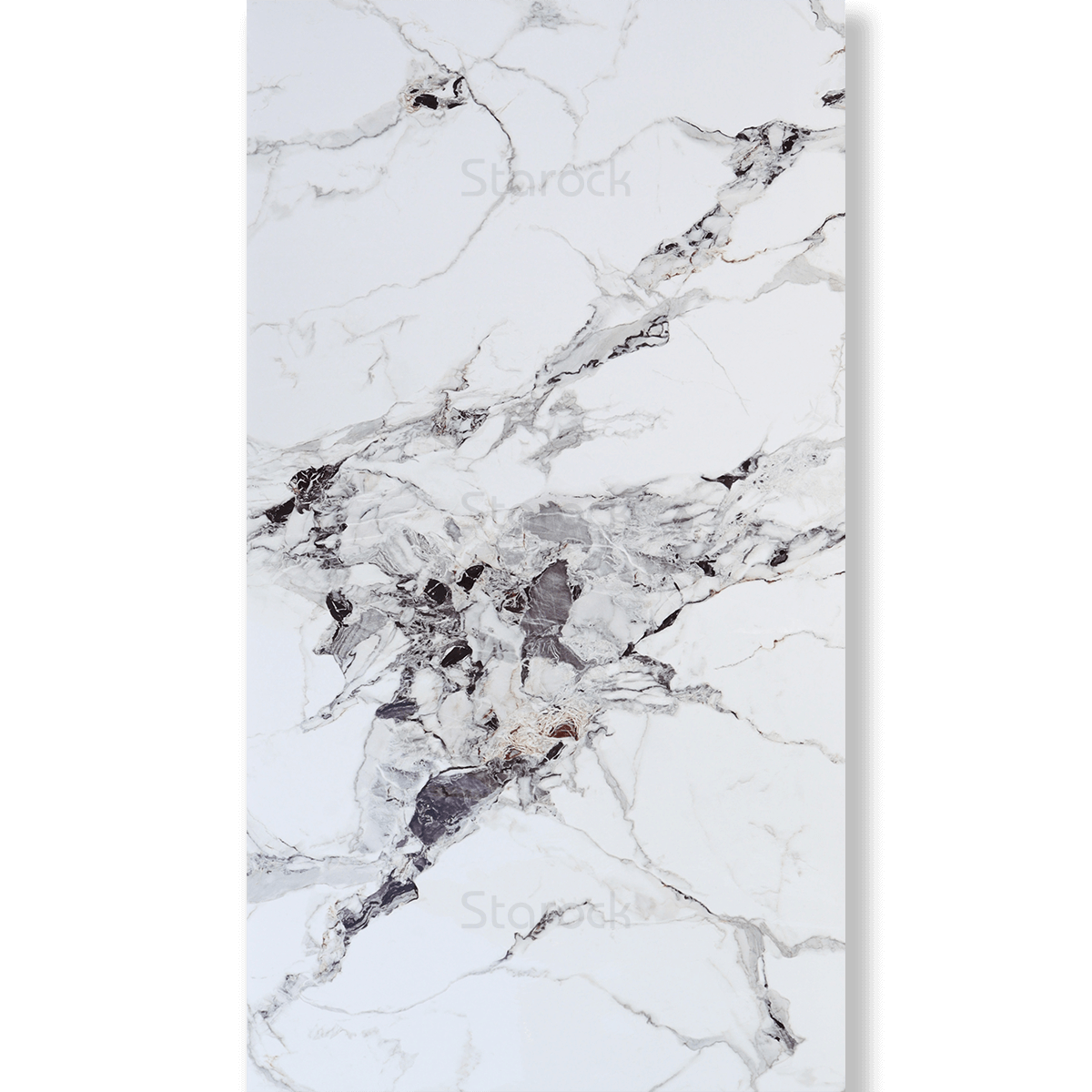 XXL Marble Panels-Calacatta Altissimo