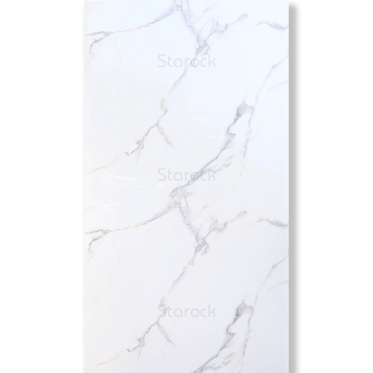 XXL Marble Panels-Calcatta Delicato