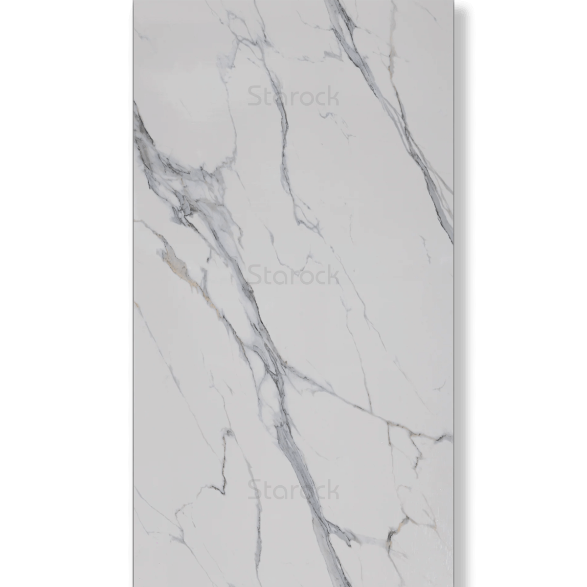 XXL Marble Panels-Calcatta Derma