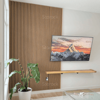 Acoustic Slat Panels